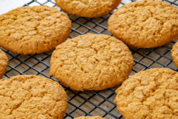 Anzac Biscuit Caterer's Pack | Momma's Cookie Co.